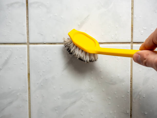 Mold Removal Process in South Lyon, MI