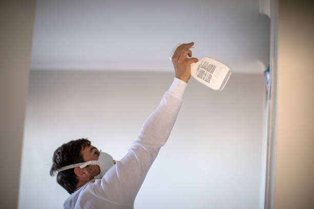 Best Mold Testing  in South Lyon, MI